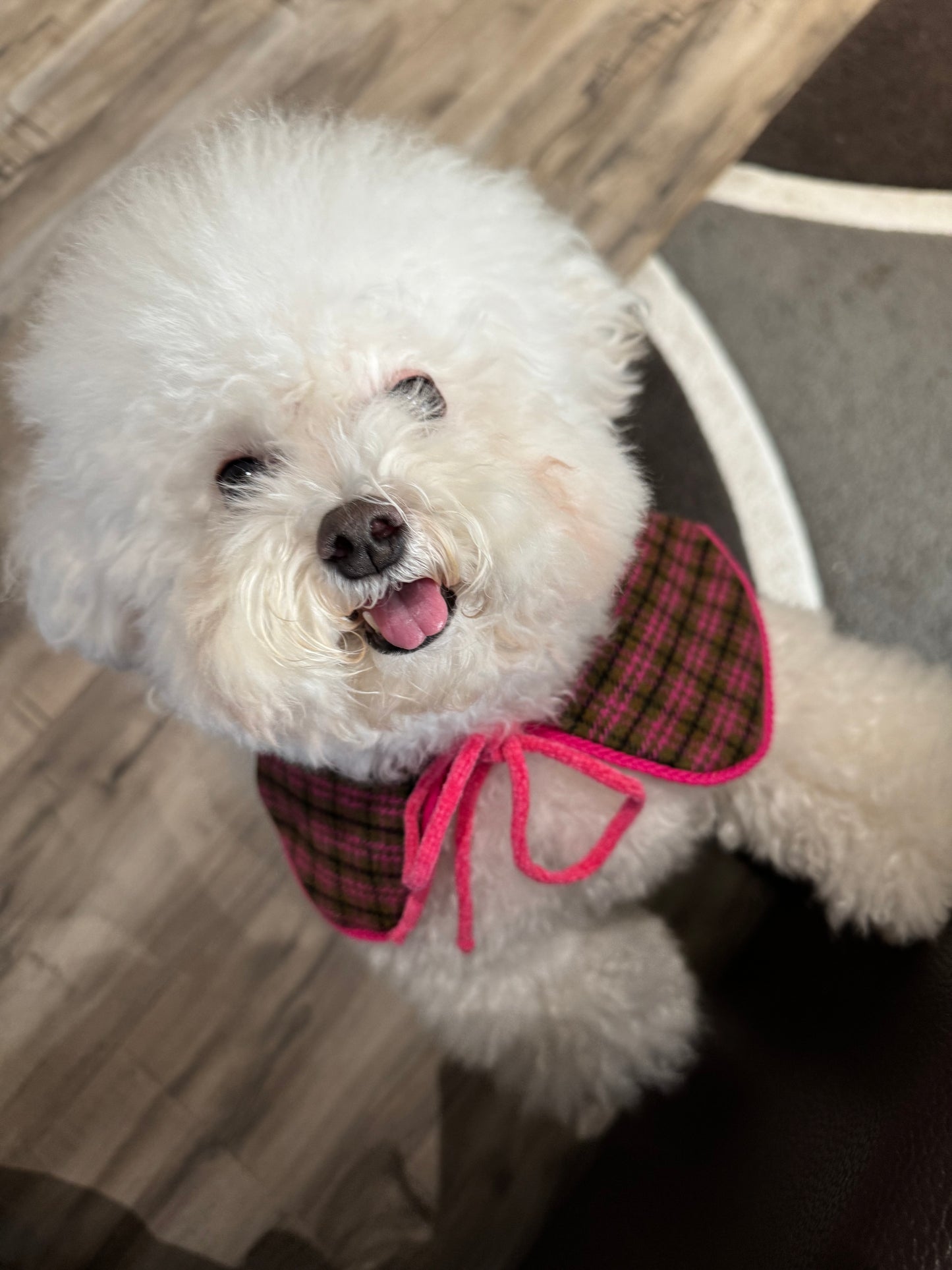 Wool & Corduroy Reversible Shawl – For Small Breeds