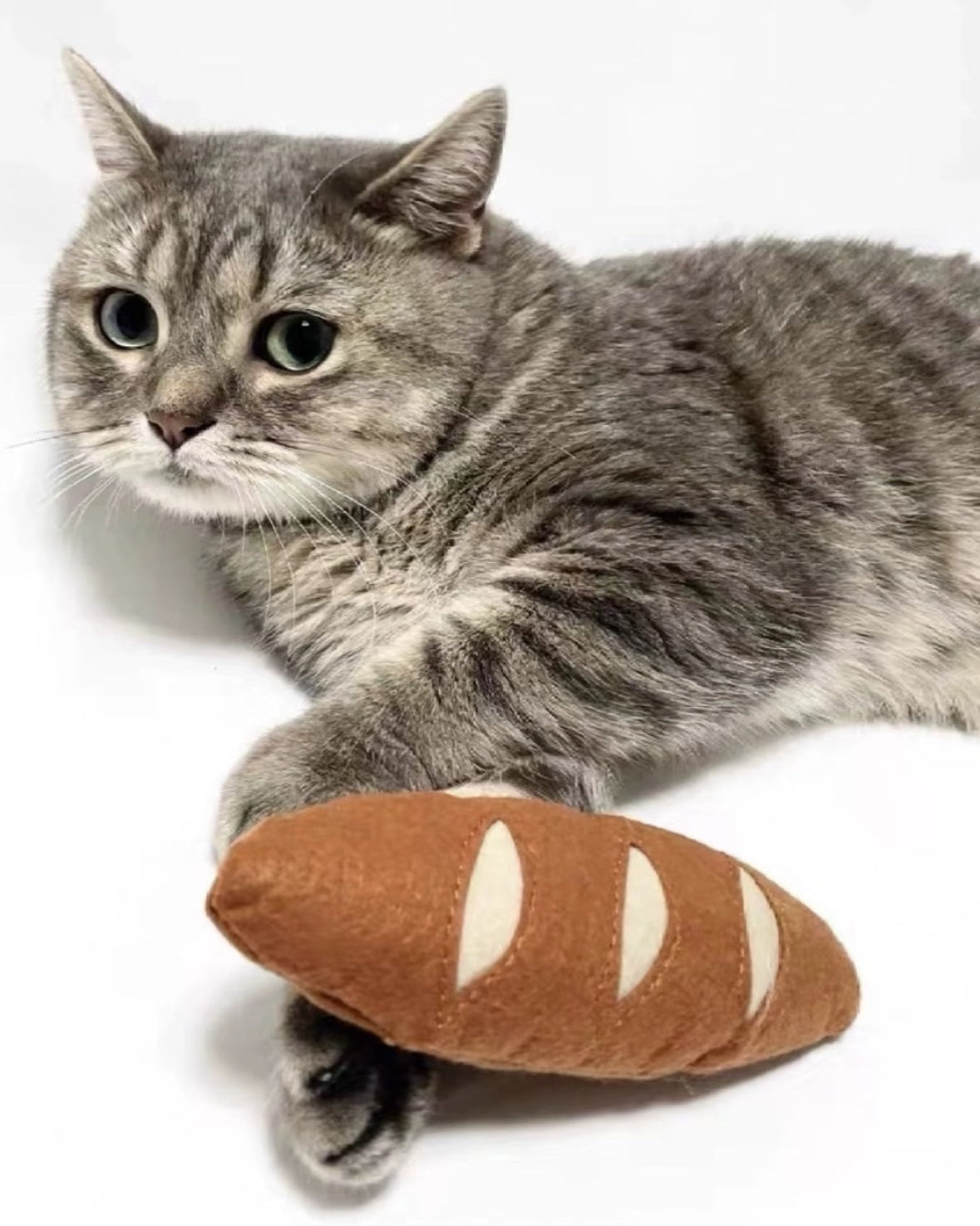 Baguette Pet Toys