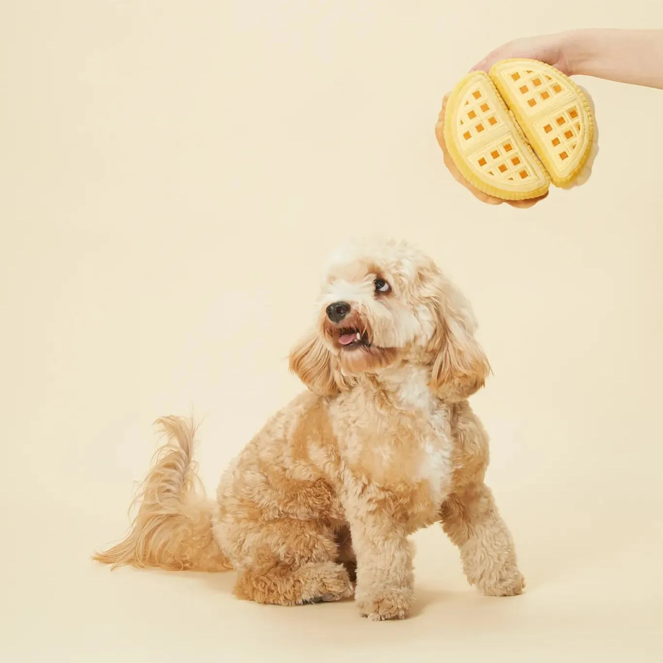 Waffle + Paper Bag Combo - Dog Sniffing Toy