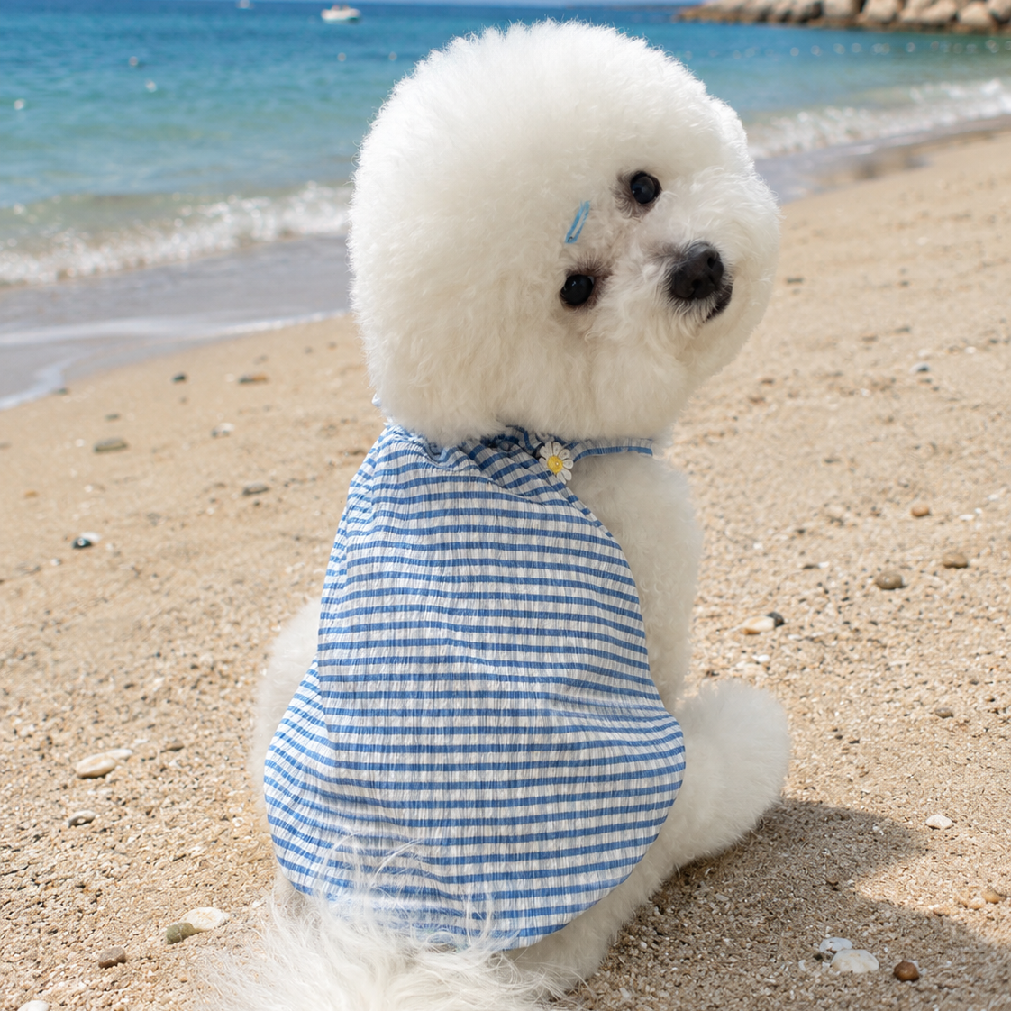 Blue Skies Dress