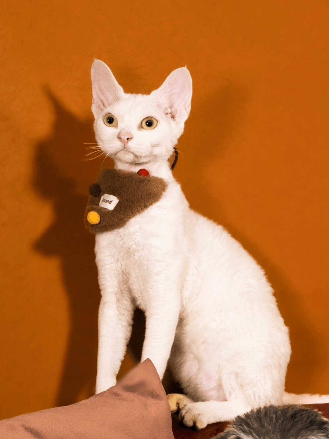 Chocolate Plush Bandana – Festive Pet Accessory for Cats & Dogs