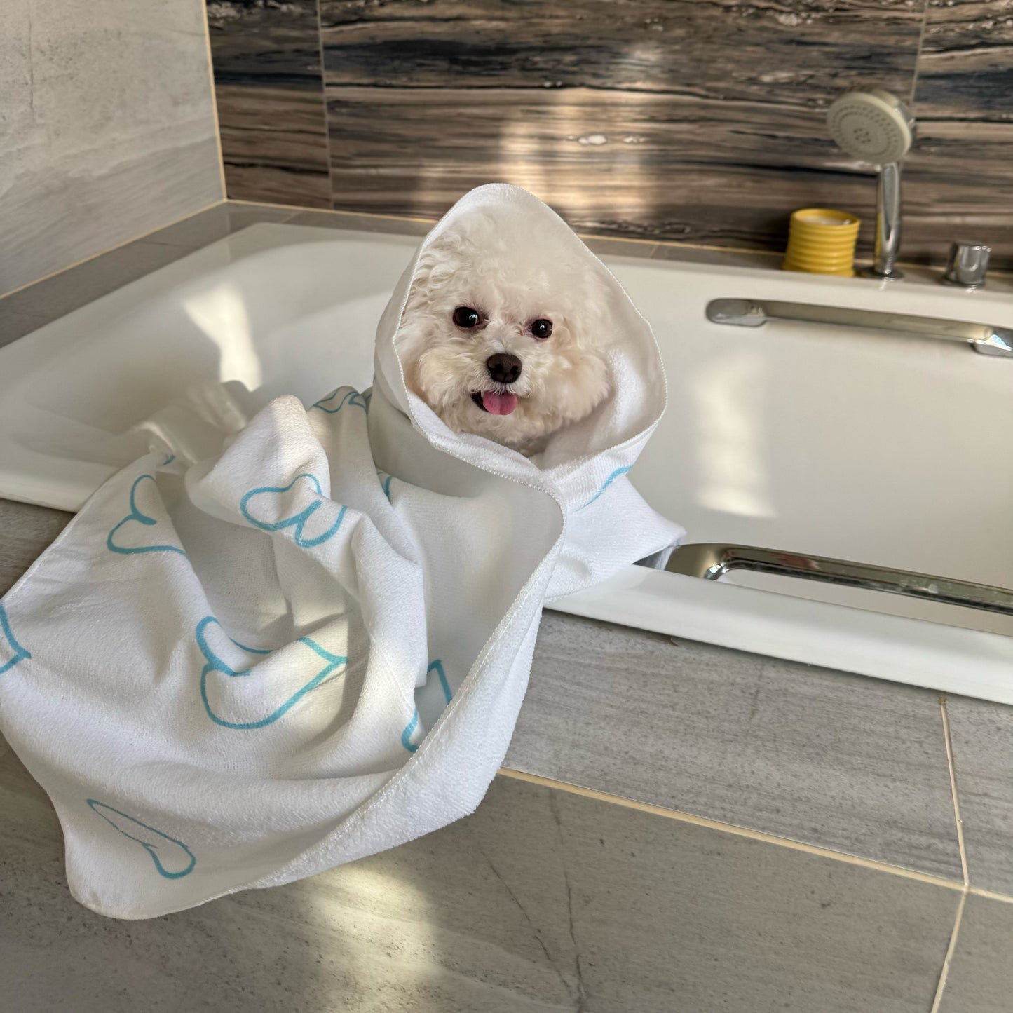 Chic Essentials Trio