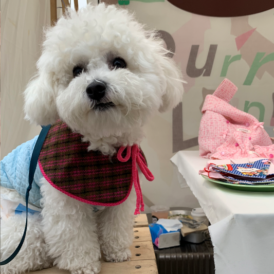 Wool & Corduroy Reversible Shawl – For Small Breeds