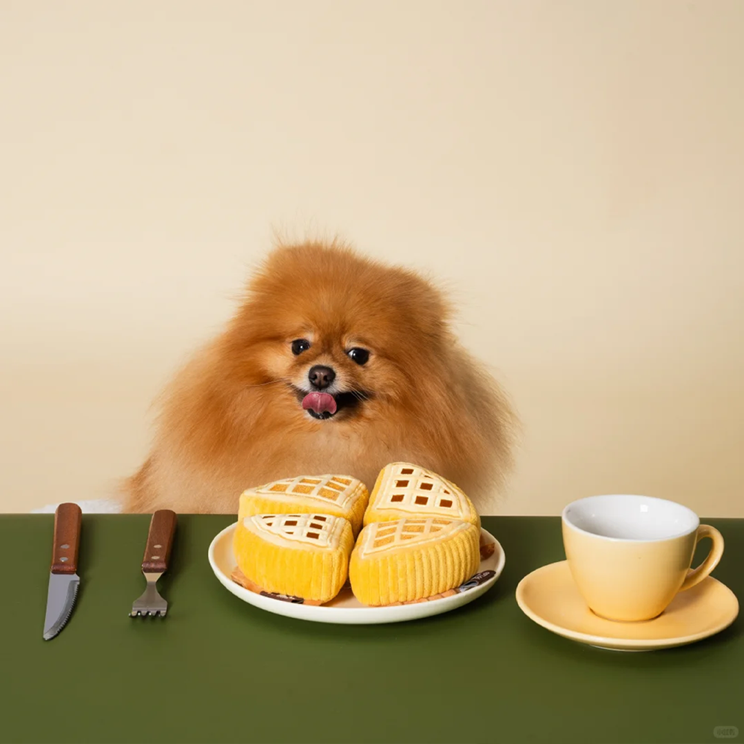 Waffle + Paper Bag Combo - Dog Sniffing Toy