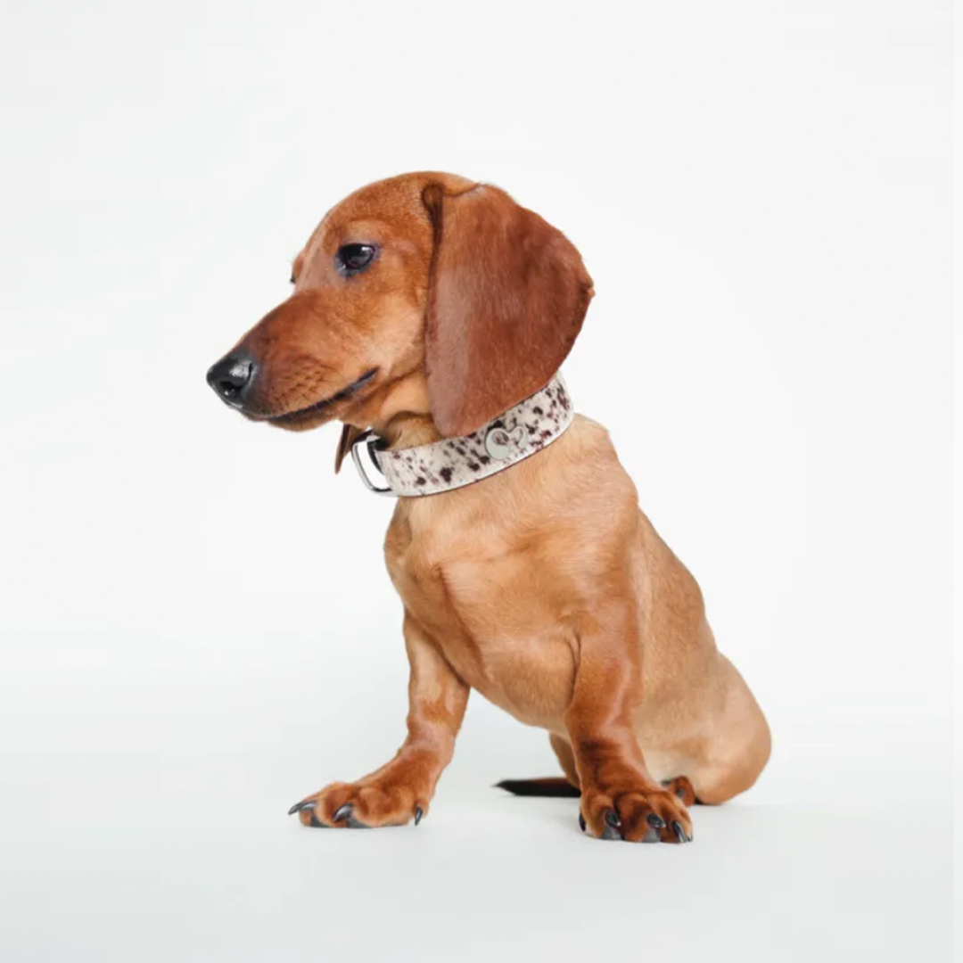 Vintage Leather Dog Collar