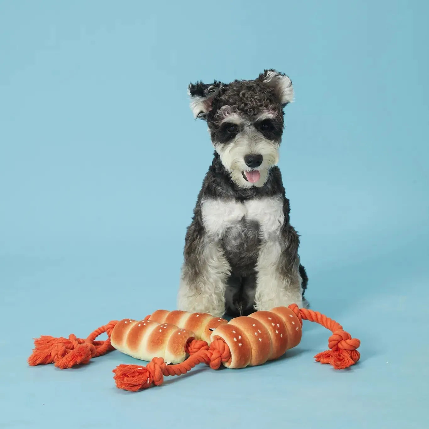 Sausage Bun Tug Toy