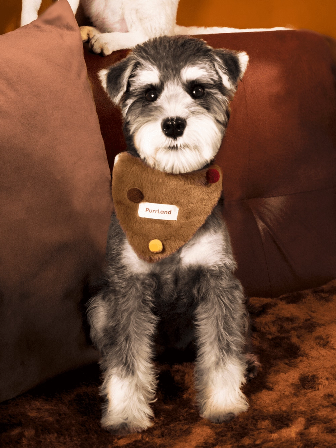 Chocolate Plush Bandana – Festive Pet Accessory for Cats & Dogs