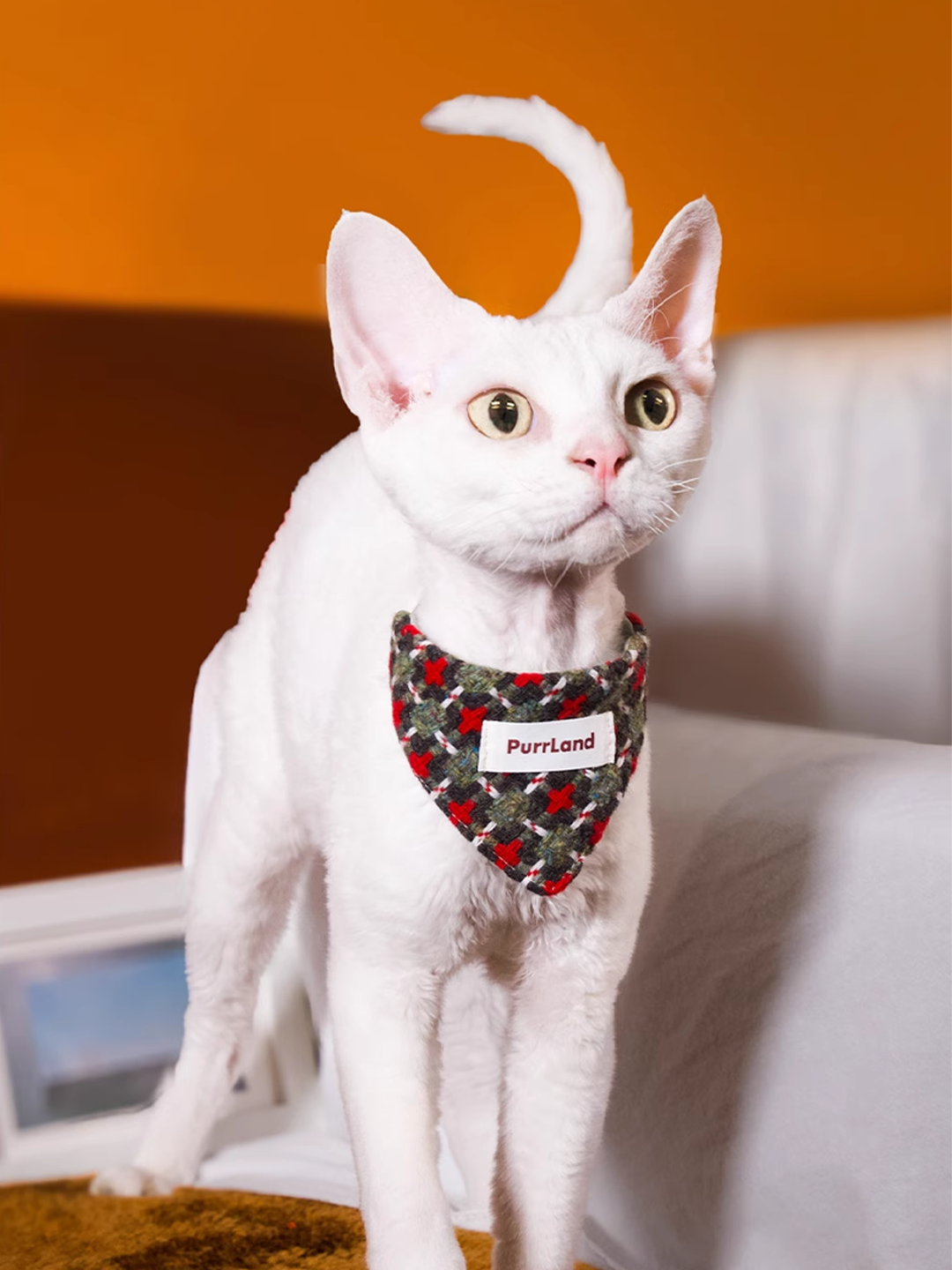 Tweed Triangle Pet Bandana – Stylish Scarf for Dogs & Cats
