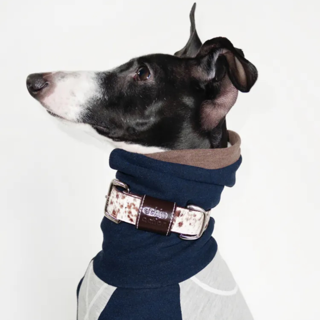 Vintage Leather Dog Collar