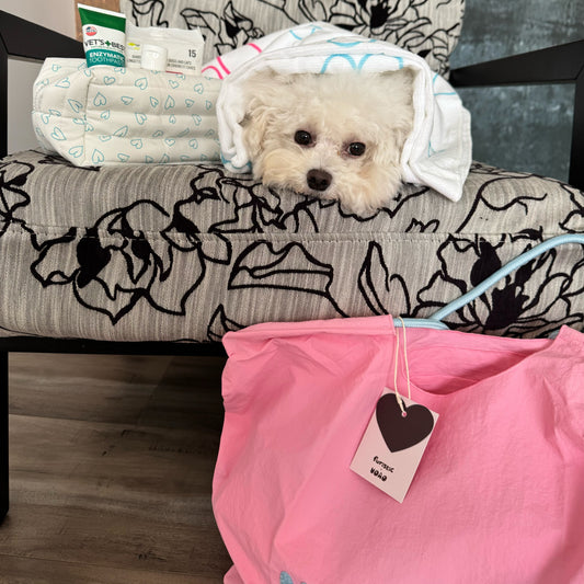 Chic Essentials Trio