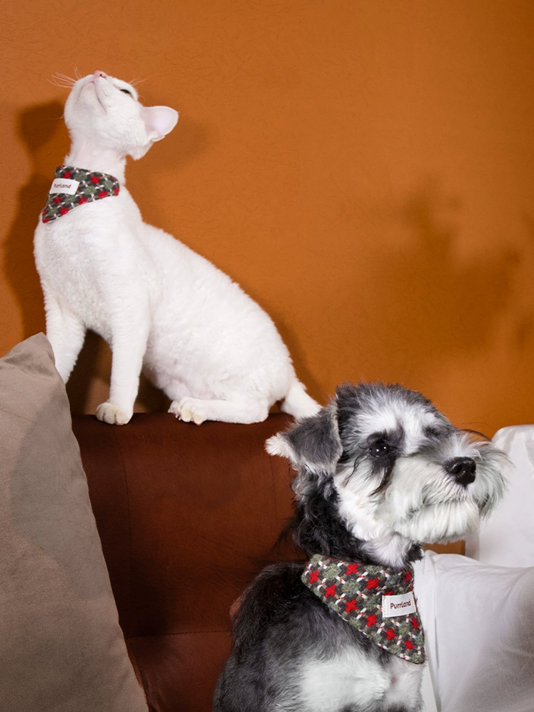 Tweed Triangle Pet Bandana – Stylish Scarf for Dogs & Cats