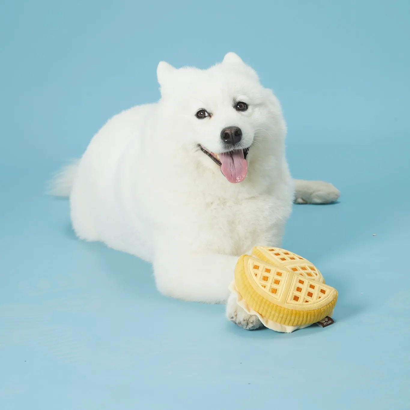 Waffle + Paper Bag Combo - Dog Sniffing Toy