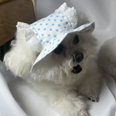 Bluebell Sun Bonnet