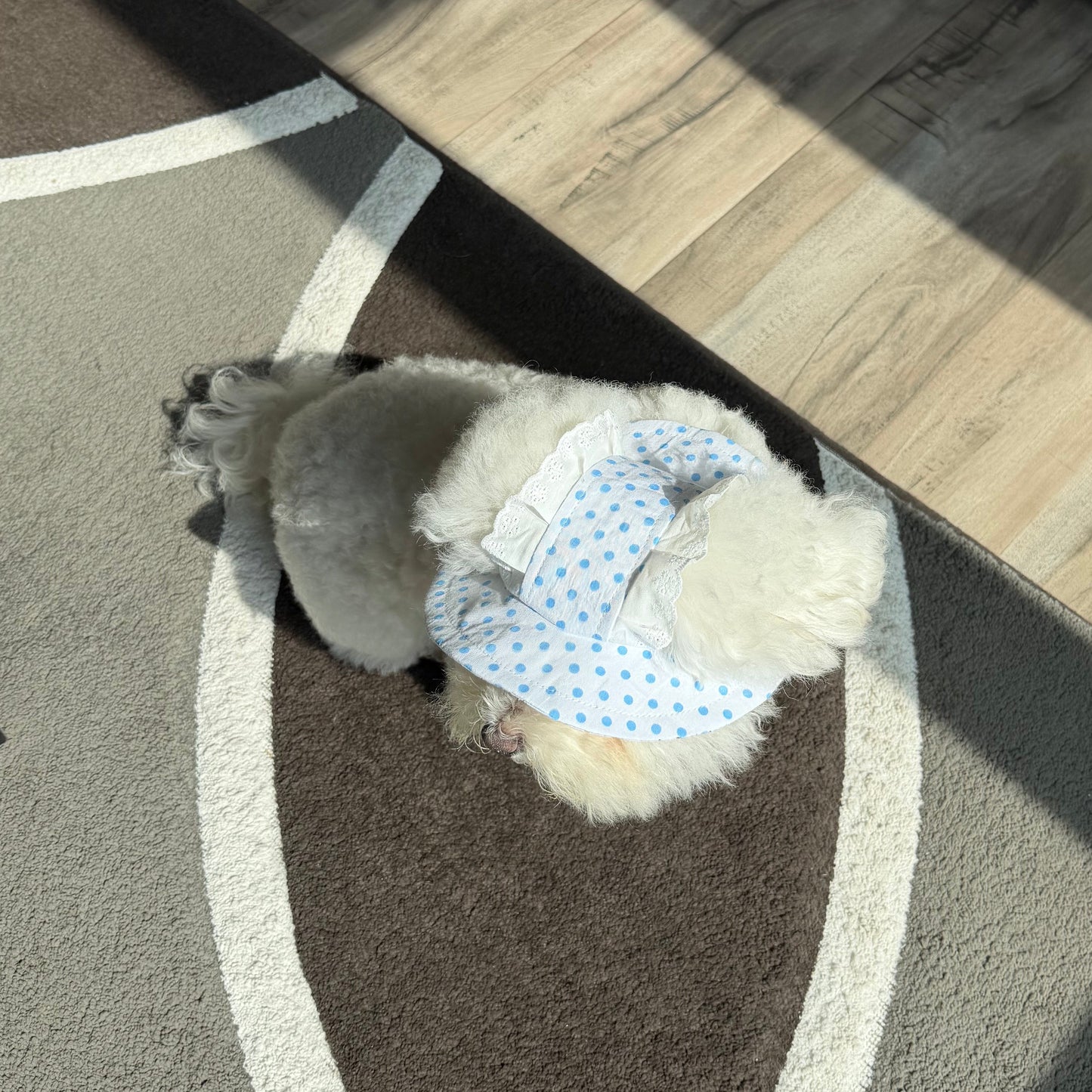 Bluebell Sun Bonnet