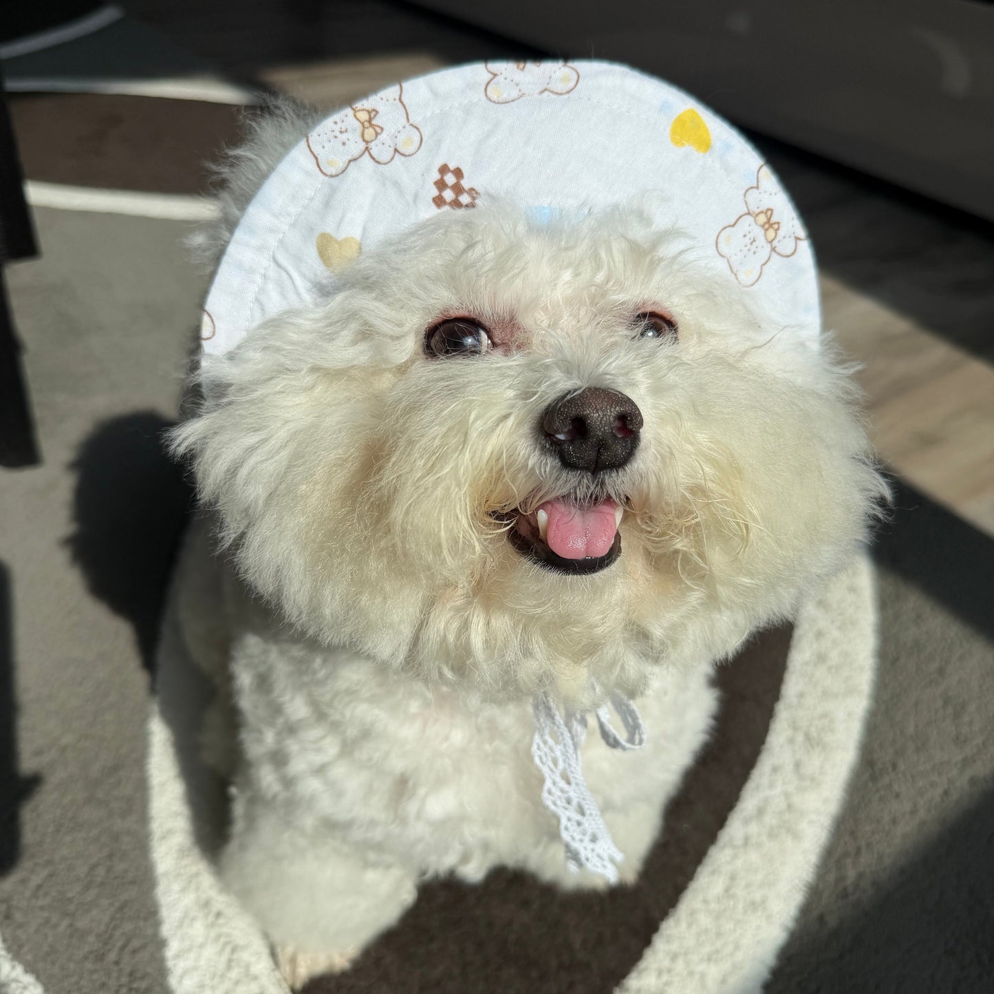 Bluebell Sun Bonnet