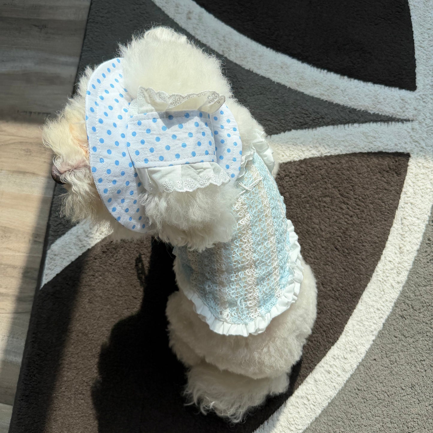 Bluebell Sun Bonnet