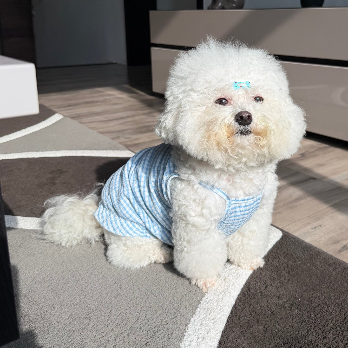 Blue Skies Dress