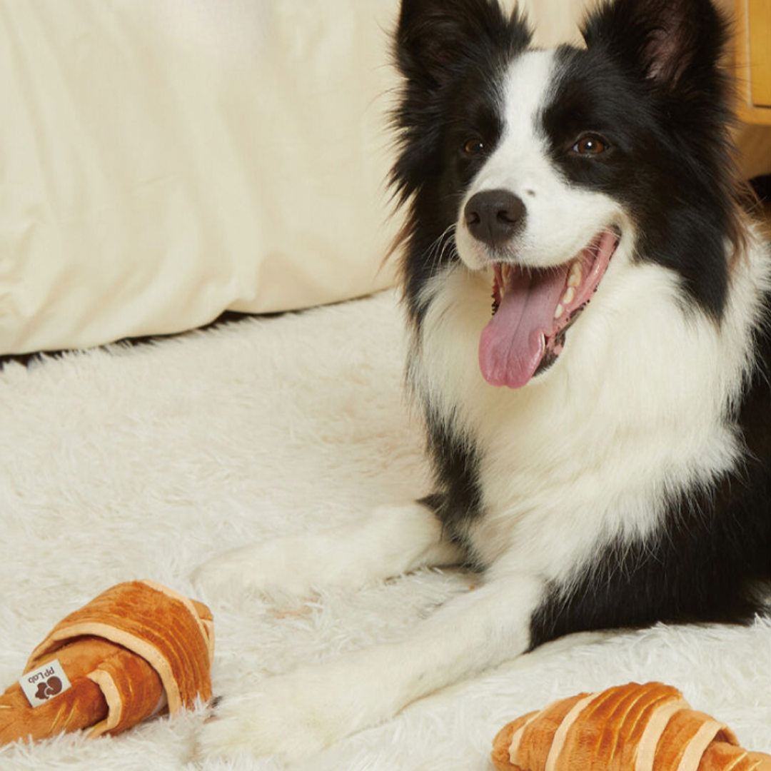 Croissant + Paper Bag Combo