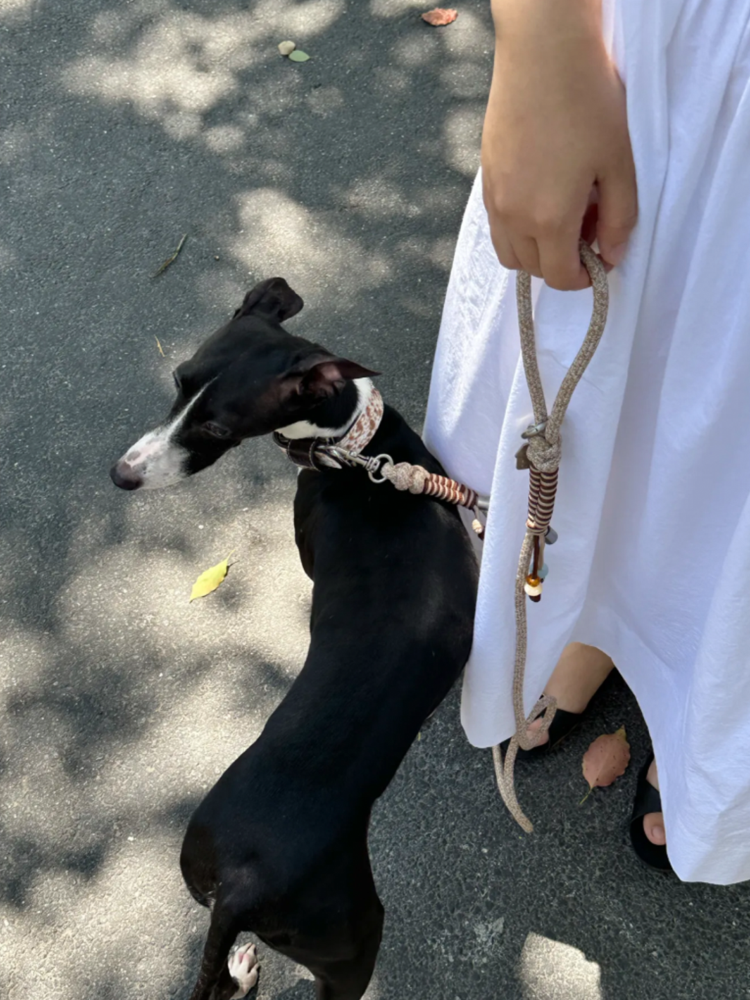 Speckled Beaded Two-Tone Woven Leash - Small & Medium Breeds