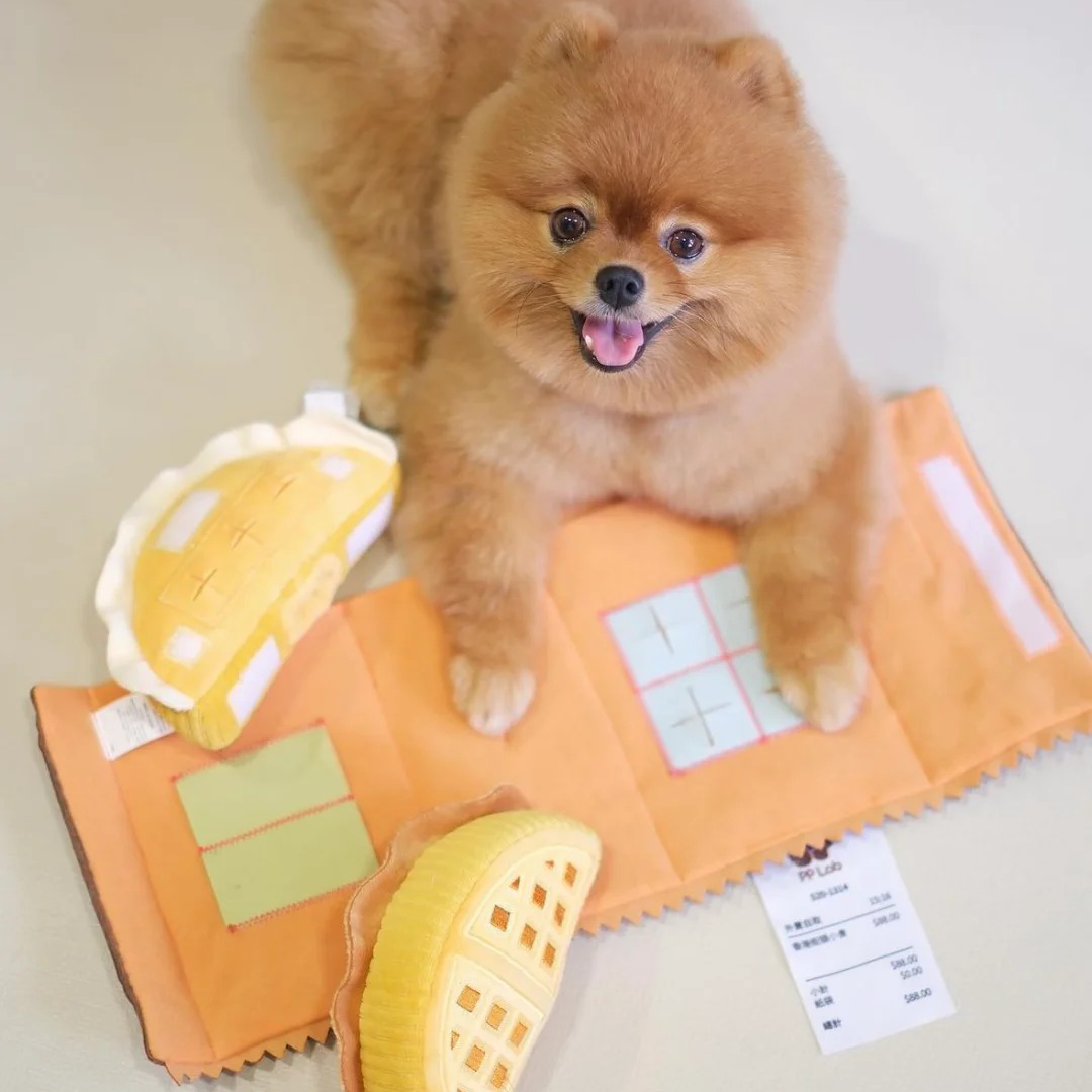 Waffle + Paper Bag Combo - Dog Sniffing Toy